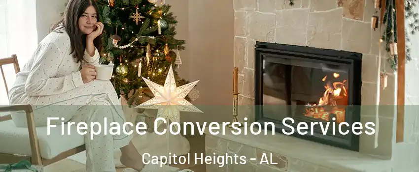 Fireplace Conversion Services Capitol Heights - AL