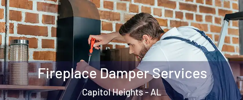Fireplace Damper Services Capitol Heights - AL