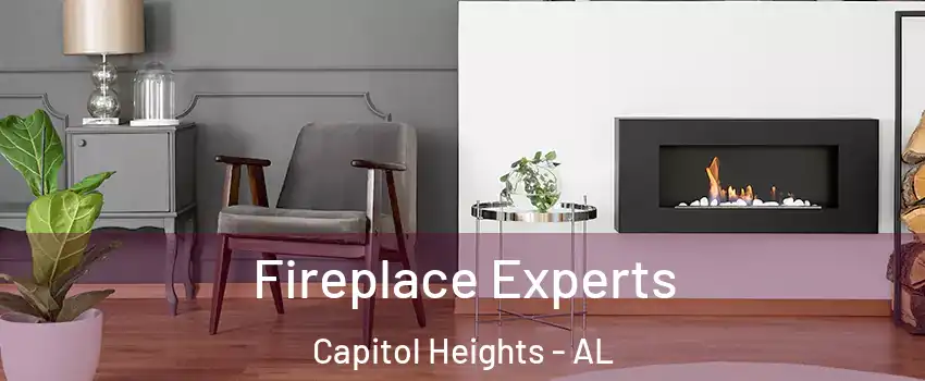Fireplace Experts Capitol Heights - AL