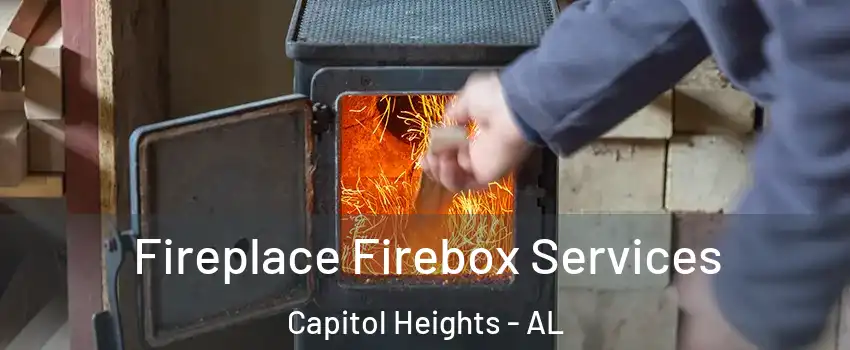 Fireplace Firebox Services Capitol Heights - AL