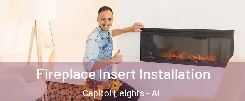 Fireplace Insert Installation Capitol Heights - AL