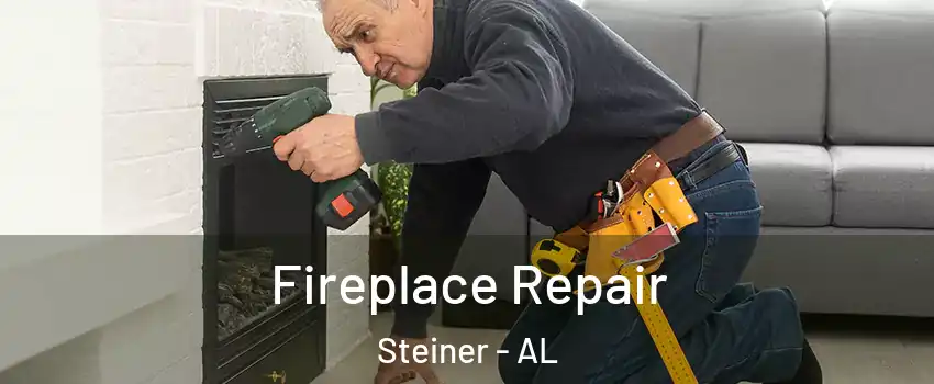 Fireplace Repair Steiner - AL