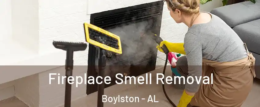 Fireplace Smell Removal Boylston - AL