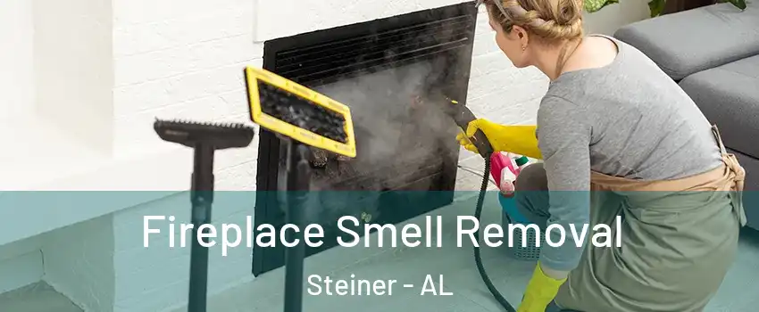 Fireplace Smell Removal Steiner - AL