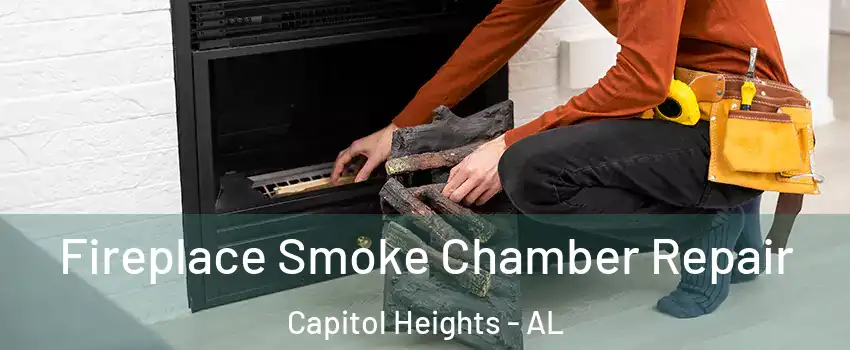 Fireplace Smoke Chamber Repair Capitol Heights - AL