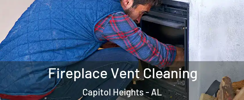 Fireplace Vent Cleaning Capitol Heights - AL