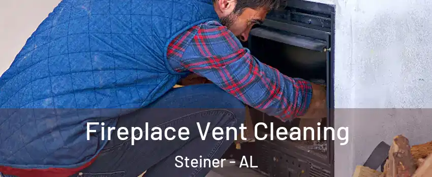 Fireplace Vent Cleaning Steiner - AL