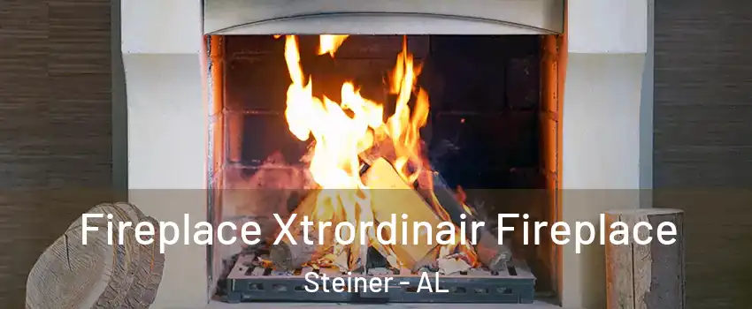 Fireplace Xtrordinair Fireplace Steiner - AL
