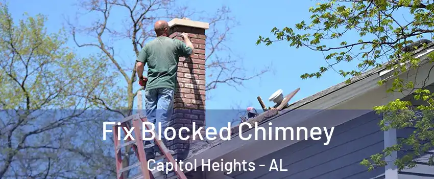 Fix Blocked Chimney Capitol Heights - AL