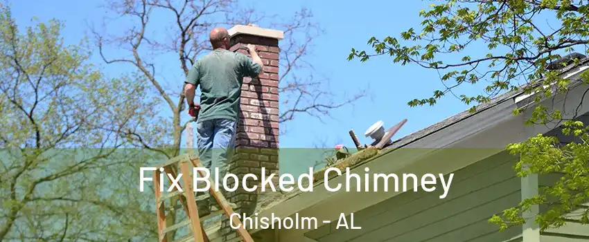 Fix Blocked Chimney Chisholm - AL