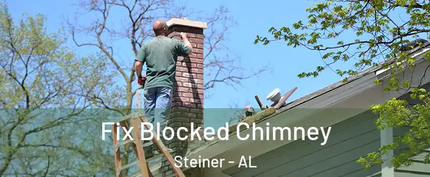 Fix Blocked Chimney Steiner - AL