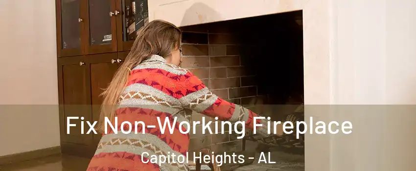 Fix Non-Working Fireplace Capitol Heights - AL