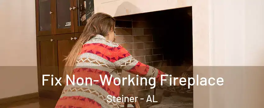Fix Non-Working Fireplace Steiner - AL