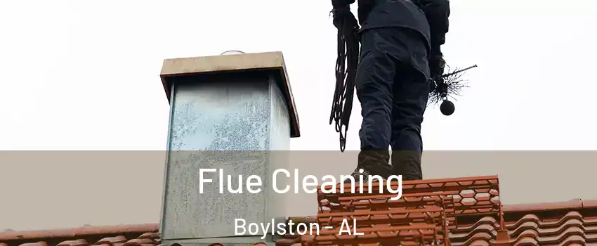 Flue Cleaning Boylston - AL