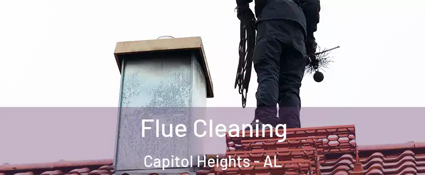 Flue Cleaning Capitol Heights - AL