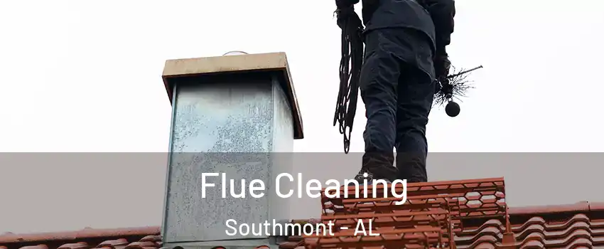 Flue Cleaning Southmont - AL