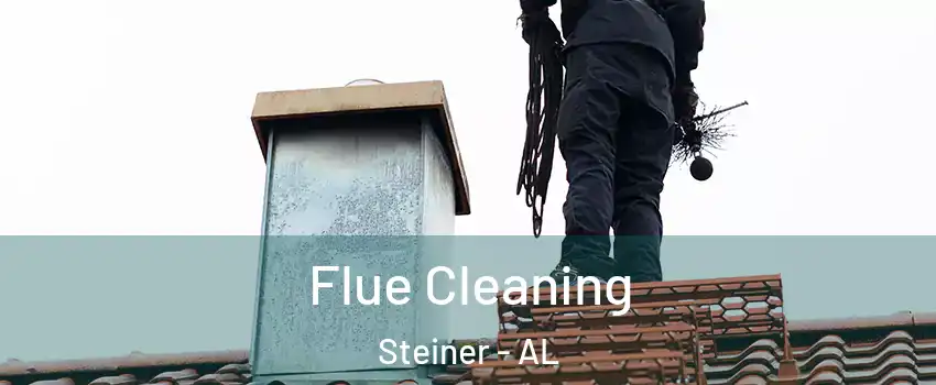 Flue Cleaning Steiner - AL