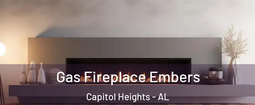 Gas Fireplace Embers Capitol Heights - AL