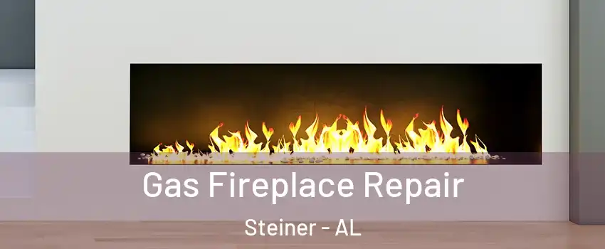 Gas Fireplace Repair Steiner - AL