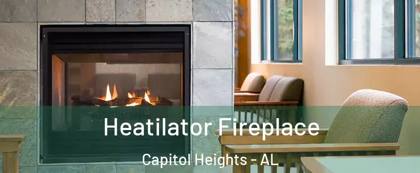 Heatilator Fireplace Capitol Heights - AL