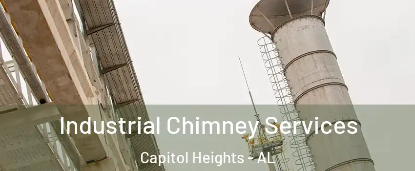 Industrial Chimney Services Capitol Heights - AL