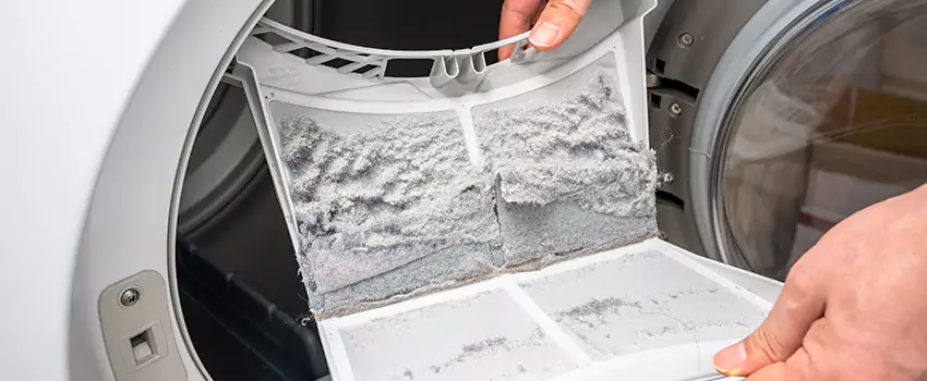 Best Dryer Lint Removal Company in Chisholm, Alabama