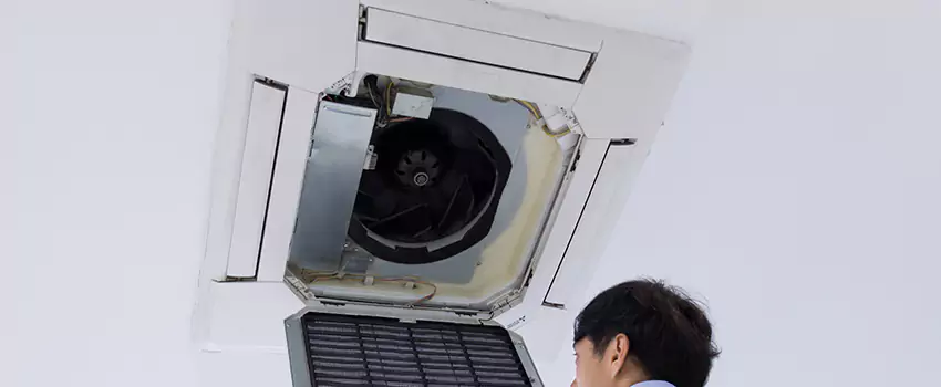 Benefits of Professional Air Duct Cleaning in Steiner, Alabama