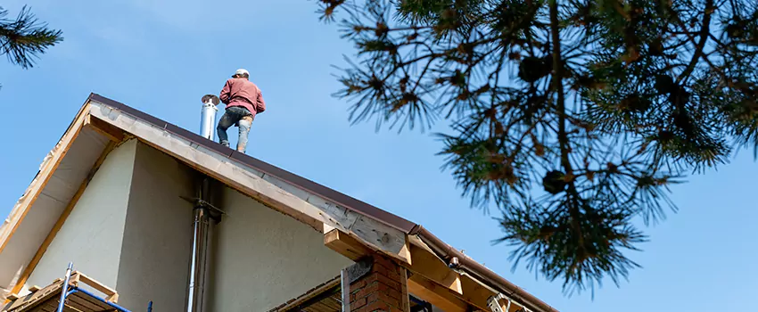 Birds Removal Contractors from Chimney in Steiner, AL