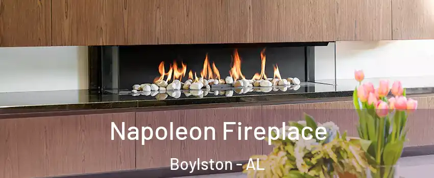Napoleon Fireplace Boylston - AL