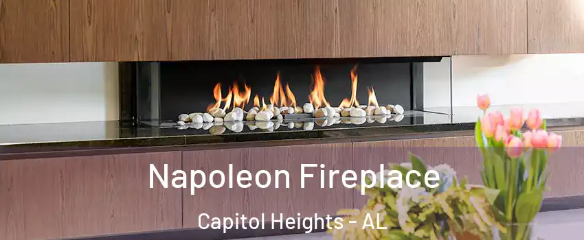 Napoleon Fireplace Capitol Heights - AL
