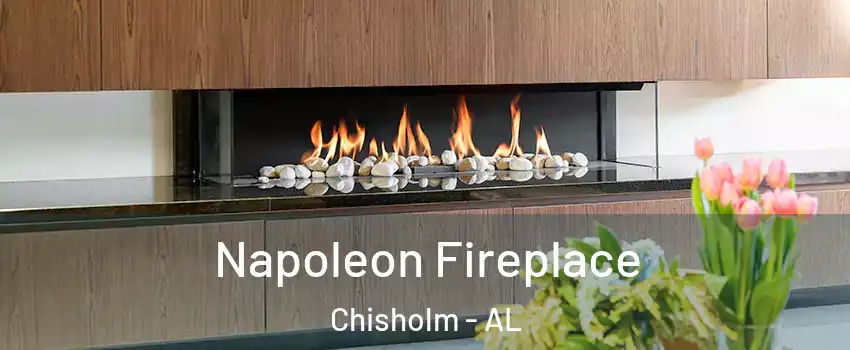 Napoleon Fireplace Chisholm - AL