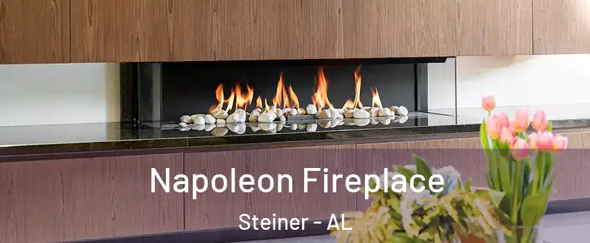 Napoleon Fireplace Steiner - AL