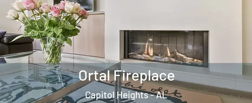 Ortal Fireplace Capitol Heights - AL