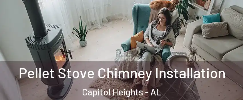 Pellet Stove Chimney Installation Capitol Heights - AL