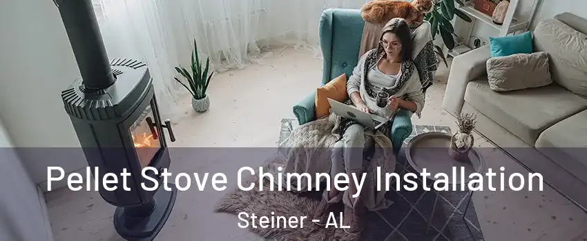 Pellet Stove Chimney Installation Steiner - AL