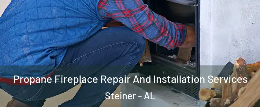 Propane Fireplace Repair And Installation Services Steiner - AL