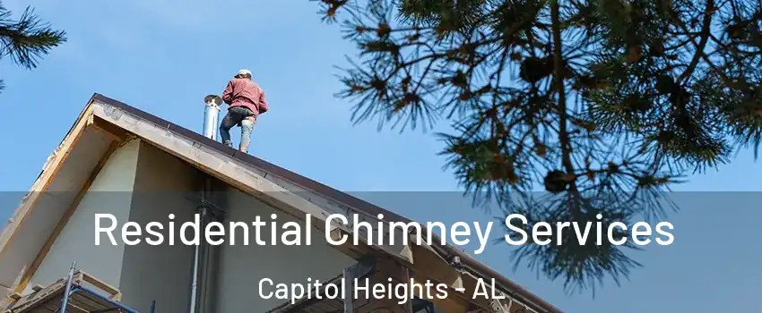 Residential Chimney Services Capitol Heights - AL
