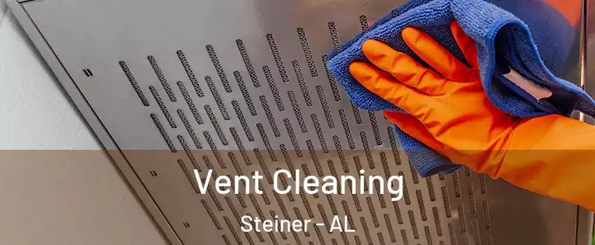 Vent Cleaning Steiner - AL