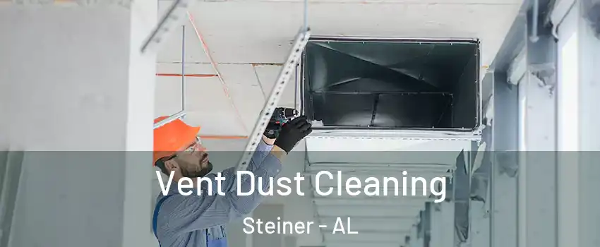Vent Dust Cleaning Steiner - AL