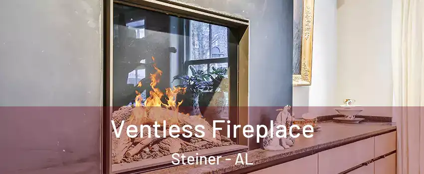 Ventless Fireplace Steiner - AL
