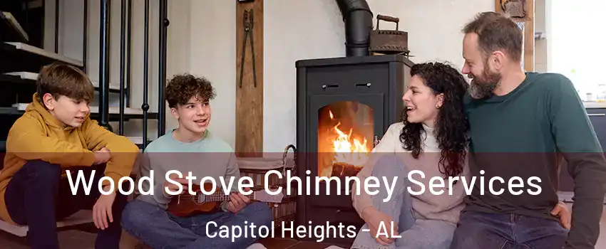 Wood Stove Chimney Services Capitol Heights - AL