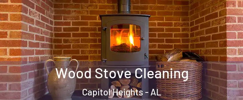 Wood Stove Cleaning Capitol Heights - AL
