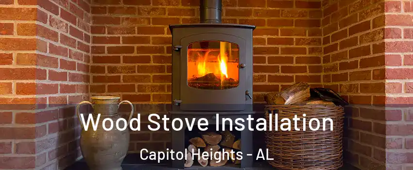 Wood Stove Installation Capitol Heights - AL