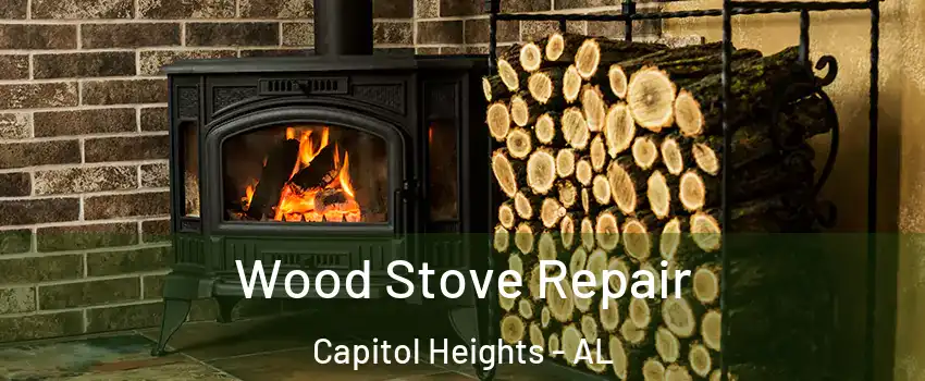 Wood Stove Repair Capitol Heights - AL